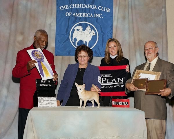2010 CCA Fall National Specialty