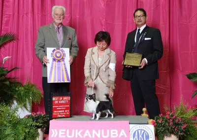 2014 CCA Regional – Eukanuba