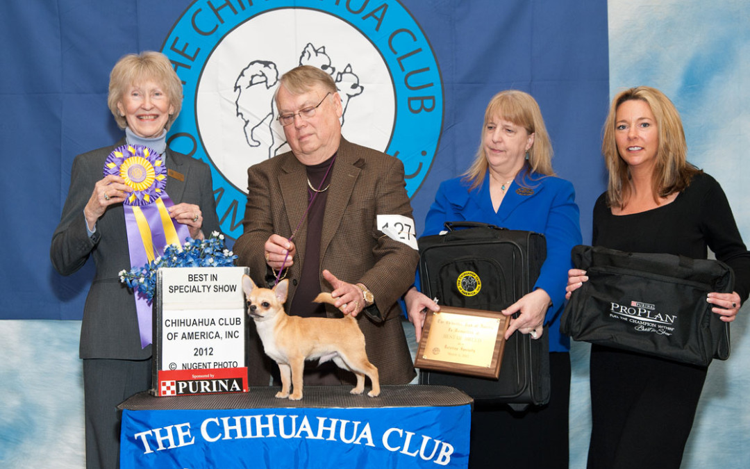 2012 CCA Spring Rotating Specialty