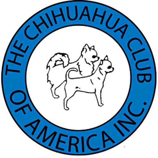 The Chihuahua Club of America