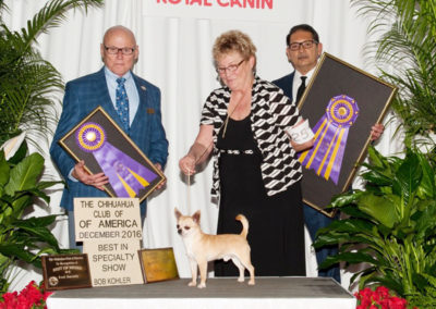 2016 CCA Regional – Royal Canin