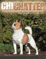 chi-chatter winter 2018
