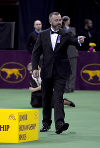 JASON HOKE